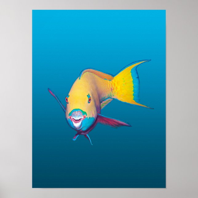 Parrotfish Close-up! Gradient blue background |  Poster (Front)