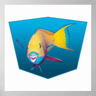 Parrotfish - Design gradient blue background | Poster