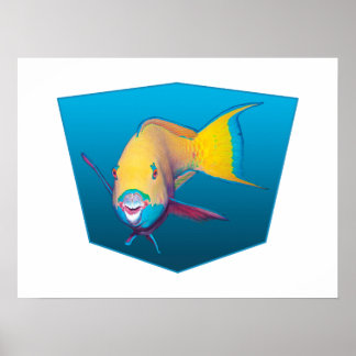 Parrotfish - Design gradient blue background |  Poster