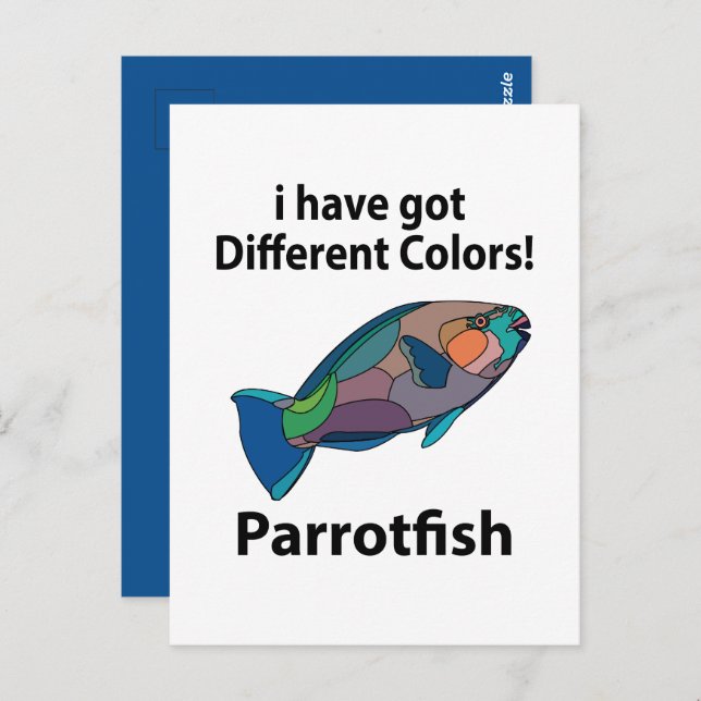 Parrotfish Funny Postcard (Front/Back)