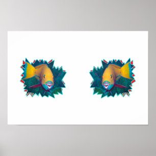 Parrotfish * Starburst Photo Design    Poster