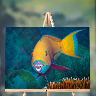 Parrotfish - Striking Make-Up! Colorful photo | Acrylic Sign