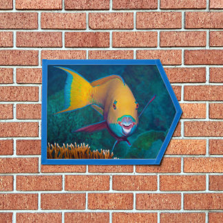 Parrotfish - Striking Make-Up! Colorful photo |  Pennant