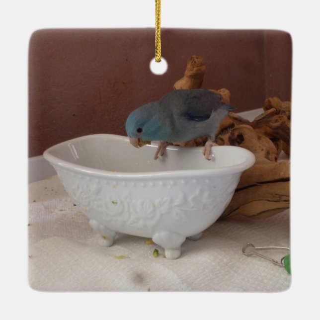Parrotlet Bath Ceramic Ornament (Back)