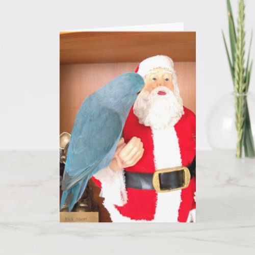 Parrotlet Bird visiting Santa Claus Christmas Card