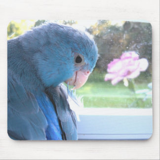 Parrotlet Blue Bird communing with nature mousepad