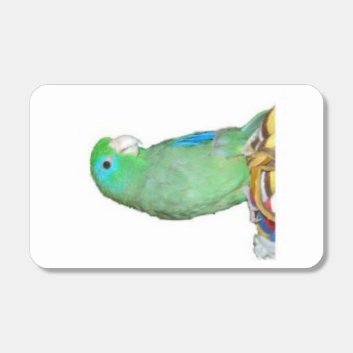 Parrotlet Matchboxes