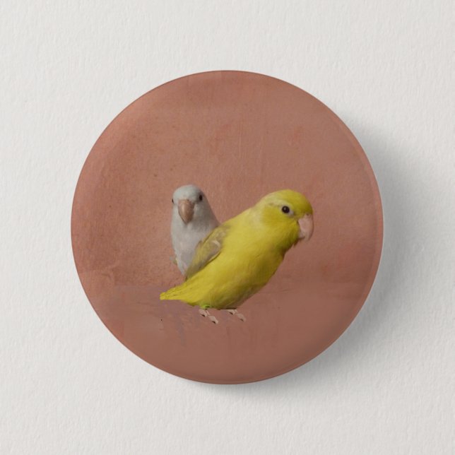 Parrotlets Button (Front)
