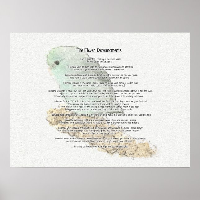 Parrotlets' Eleven Demandments Poster (Front)