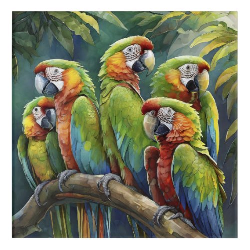 Parrots Acrylic Print