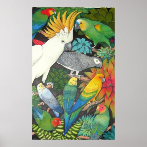 Parrots and Bromeliads Poster