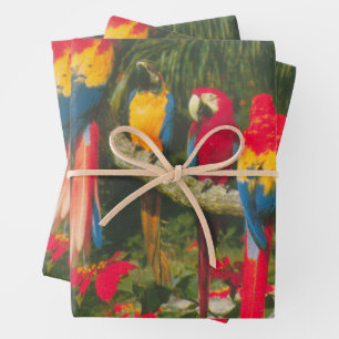 Parrots and Poinsettias Photo Christmas Wrapping Paper Sheets