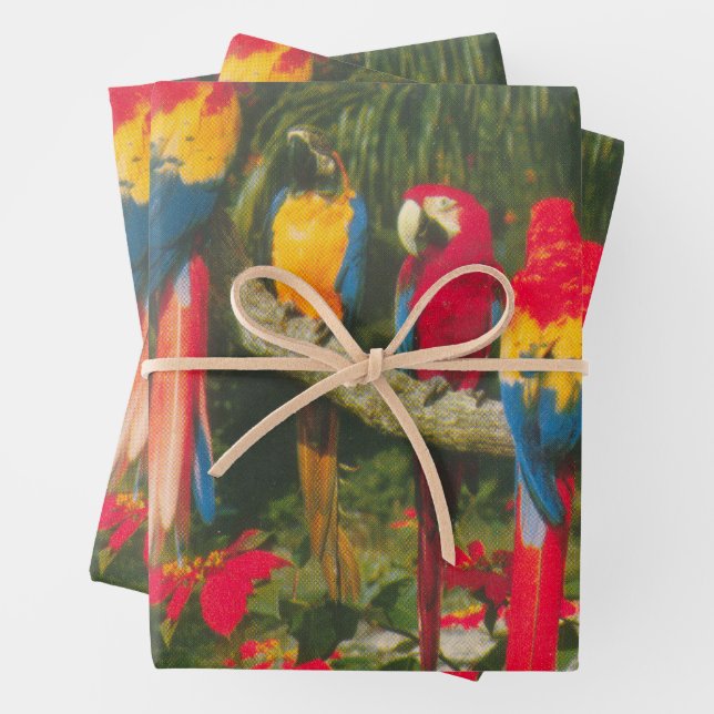 Parrots and Poinsettias Photo Christmas Wrapping Paper Sheets (In situ)