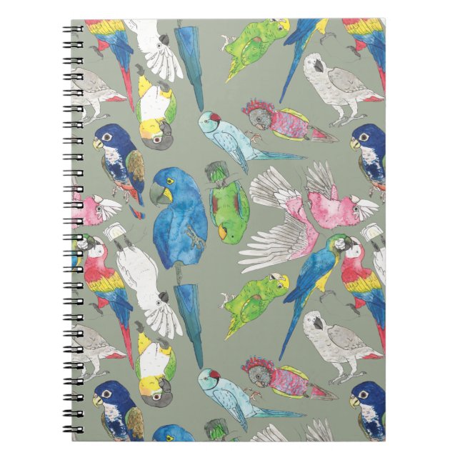 Parrots and 'Toos Notebook (Front)