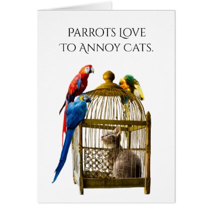 Parrots Annoy Cats Friend Greeting Card