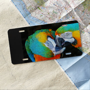 Parrots - Best friends  License Plate