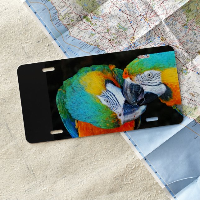 Parrots - Best friends  License Plate (In Situ)
