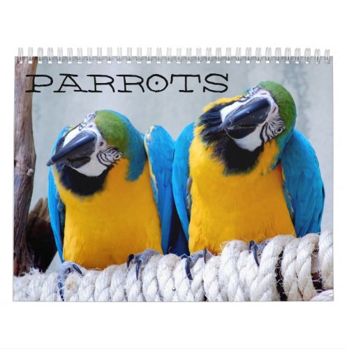 Parrots Calendar