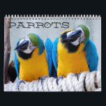Parrots Calendar<br><div class="desc">Parrots Calendar. This calendar features high resolution of some of the most beloved birds in the pet world. Enjoy.</div>