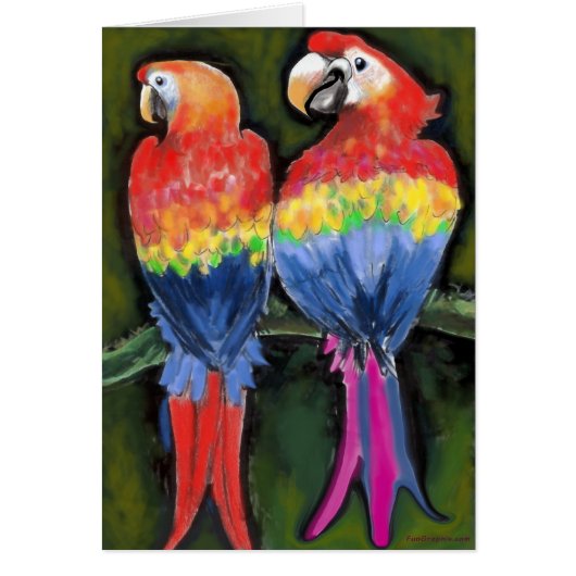 Parrots Cards (Front)