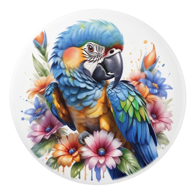 Parrots Colorful Tropical Ceramic Knob (Front)