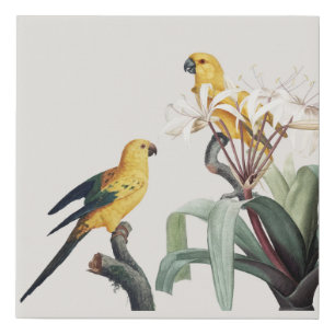 Parrots Faux Canvas Print