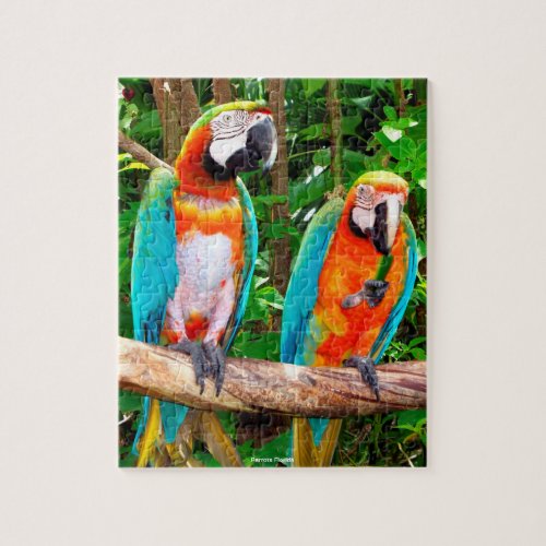 Parrots Florida Jigsaw Puzzle