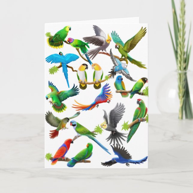 Parrots Galore Card (Front)