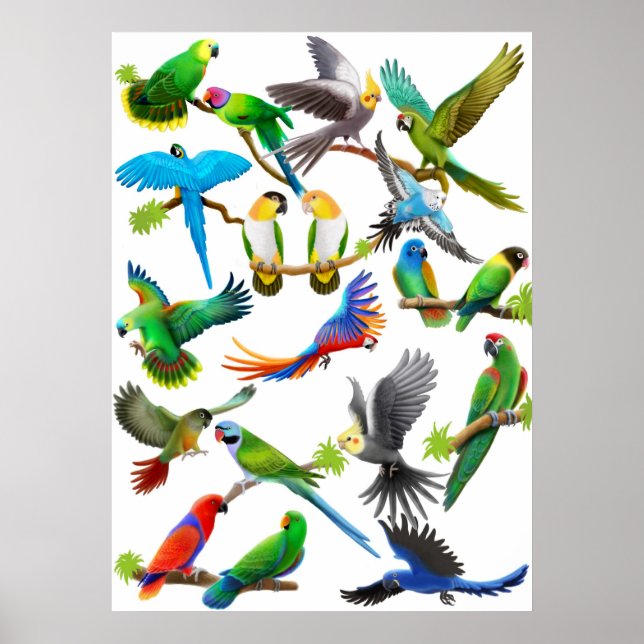 Parrots Galore Poster (Front)