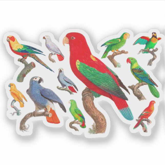 Parrots Galore Sticker (Front)