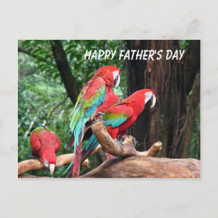 Parrots Happy Father's Day Postcard