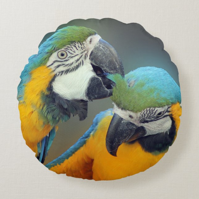 Parrots in love round pillow (Front)