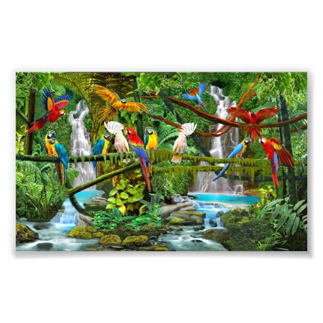 PARROTS IN PARADISE PHOTO PRINT (Front)