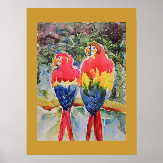 Parrots in the Rain Forest Poster (Front)