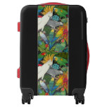 Parrots