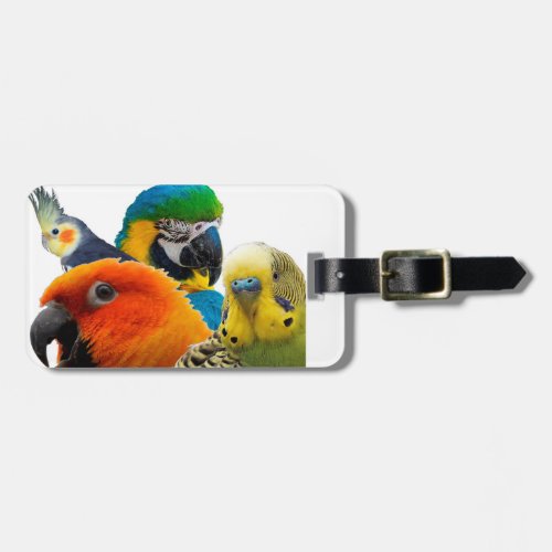 Parrots IV Luggage Tag with leather strap