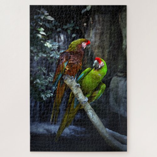 Parrots  jigsaw puzzle