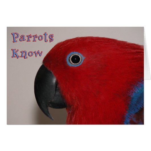 Parrots Know Cards (Front Horizontal)
