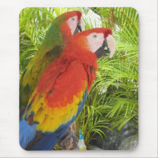 Parrots Mouse Pad