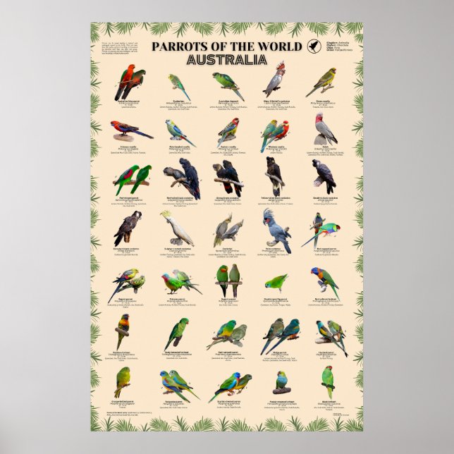 Parrots of the world – Australia Poster (Front)
