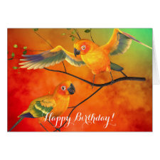 Parrots Sun Conures Birthday Card