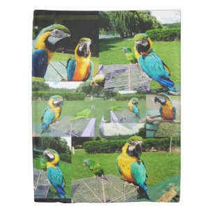 PARROTS throw blanket