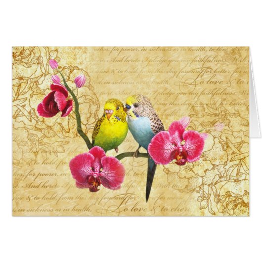 Parrots to orchids cards (Front Horizontal)