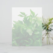 Parsley (Standing Front)