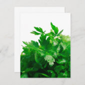 Parsley (Front/Back)