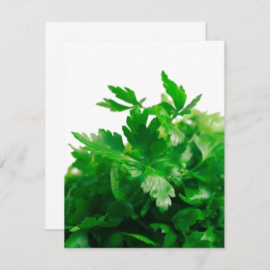 Parsley (Front/Back)