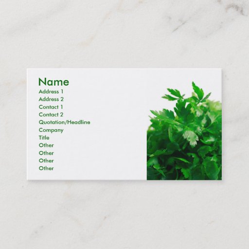 Customizable Parsley Business Card Template