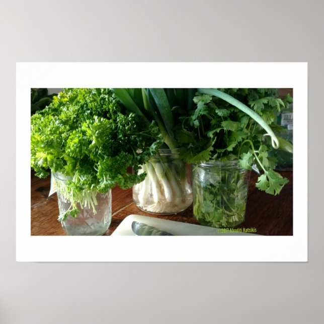 Parsley, Cilantro & Green Onions Poster (Front)