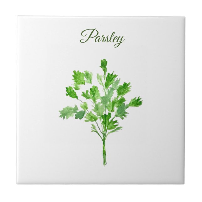 Parsley Herb Greenery Kitchen Culinary Green Chic Ceramic Tile (Front)