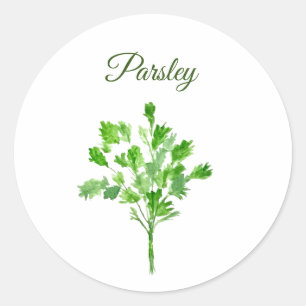 Parsley Herbs Watercolor Kitchen Culinary Green Classic Round Sticker